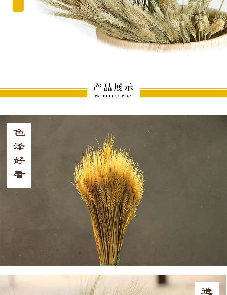 手工纯天然麦穗干花 仿真田园农家乐真小麦子大麦装饰